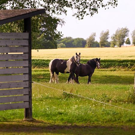 Hesselgaard Glamping Hotel Dalby Exterior foto