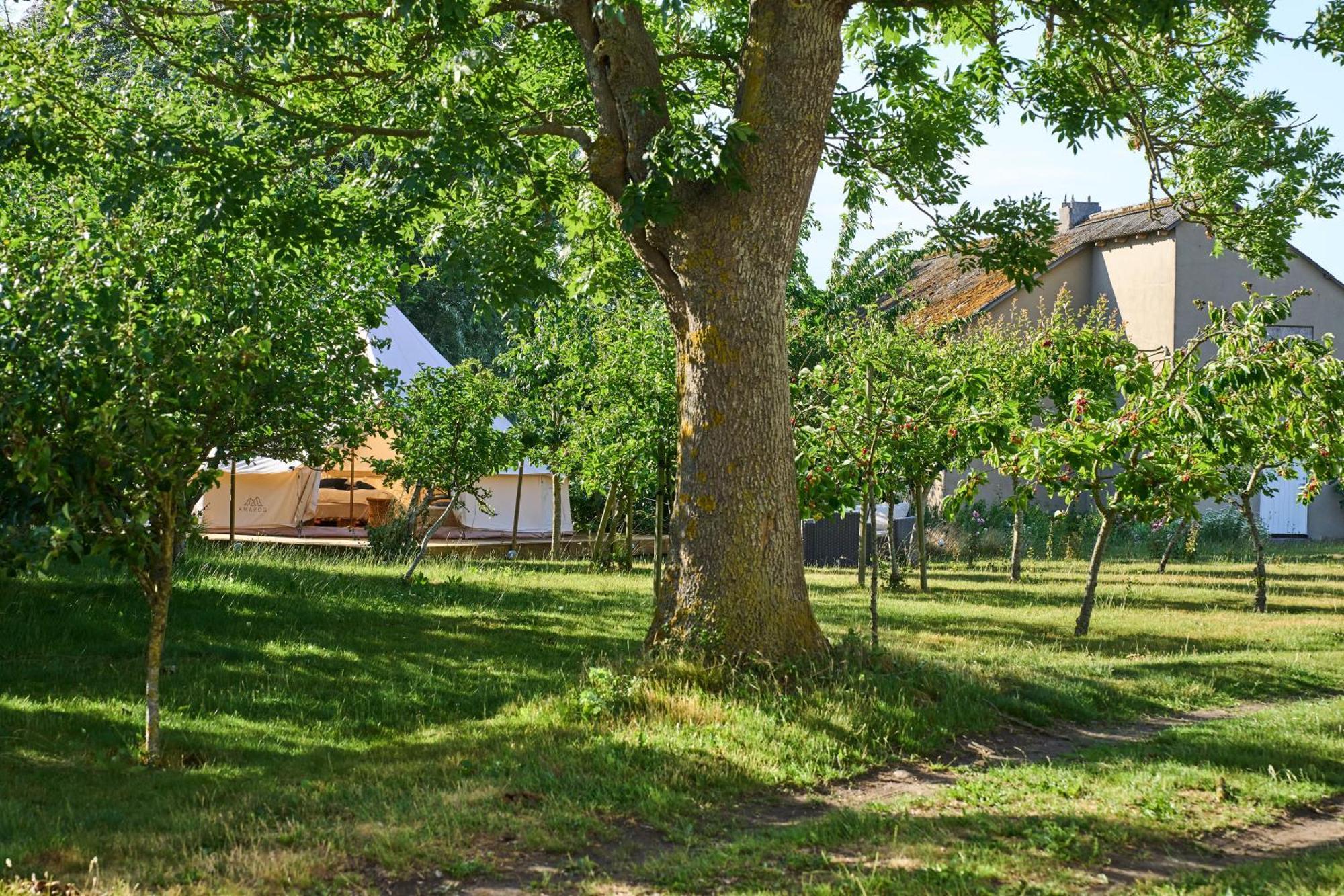 Hesselgaard Glamping Hotel Dalby Exterior foto